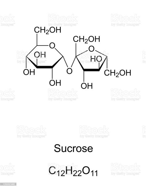 Sucrose Common Sugar Chemical Structure And Formula Stock Illustration