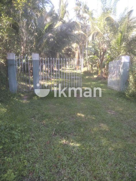 Land For Sale In Kurunegala Ikman