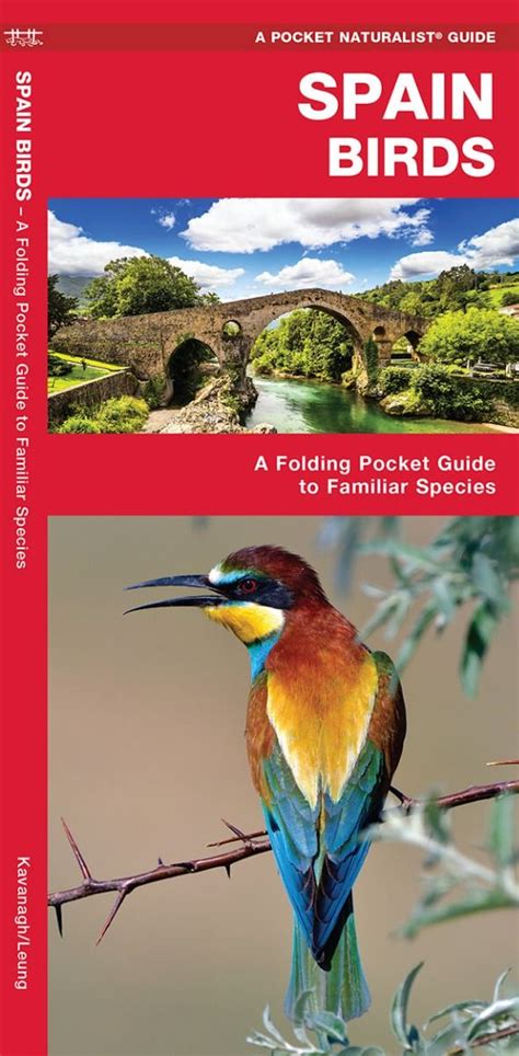 Spain Birds Pocket Naturalist Guide