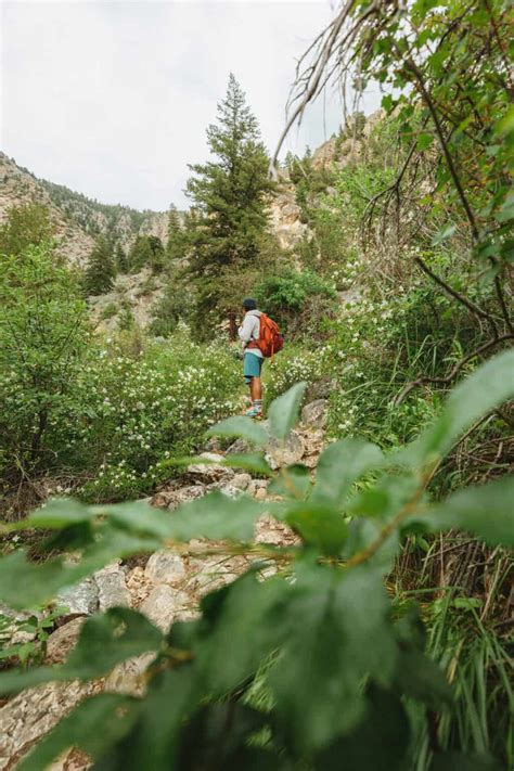 Goldbug Hot Springs In Idaho 8 Essential Tips To Hike Soak And Camp