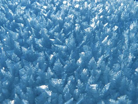 Eiskristalle Frost Frozen Cold Ice Crystals Hoarfrost Crystal