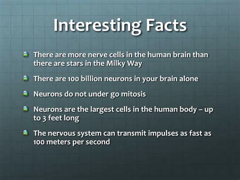 Interesting Facts Nervous System Aromapic