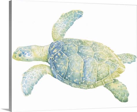 Tranquil Sea Turtle Ii Wall Art Canvas Prints Framed Prints Wall