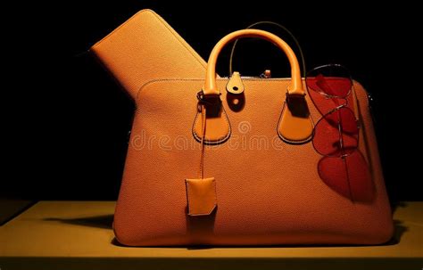Ladies Handbag And Sunglass Stock Image Image Of Attractive Winter