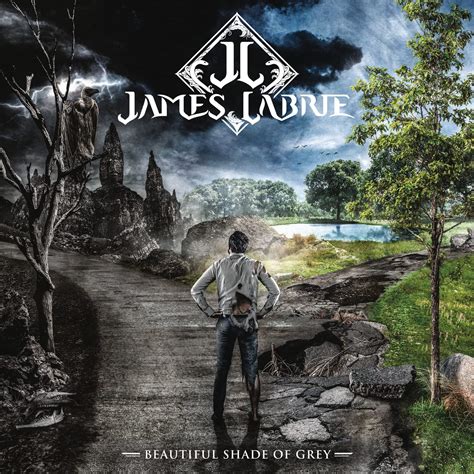 Beautiful Shade Of Grey James Labrie Amazonfr Cd Et Vinyles