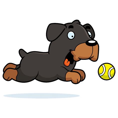 Spaying or neutering your dog can expedite the calming process, especially in males. When do Rottweilers Calm Down? | Dog Breeds List