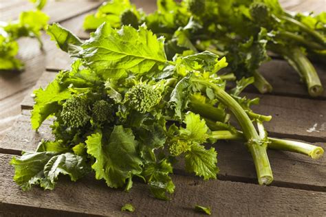 Broccoli Rabe Care How To Grow And Harvest Rapini