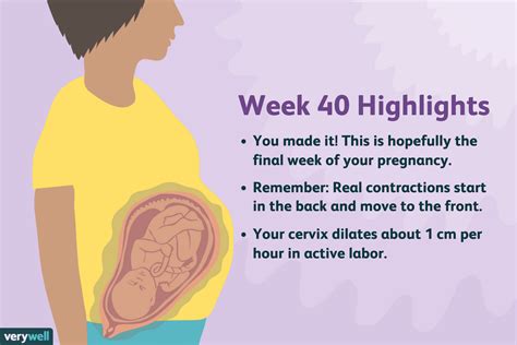 40 Weeks Pregnant Symptoms Baby Development And More