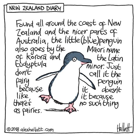 Living In New Zealand Little Blue Dont Call Them Fairy Penguins