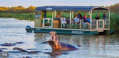 Magnificent Hippo And Croc Boat Cruise St Lucia Kzn R380 Pp