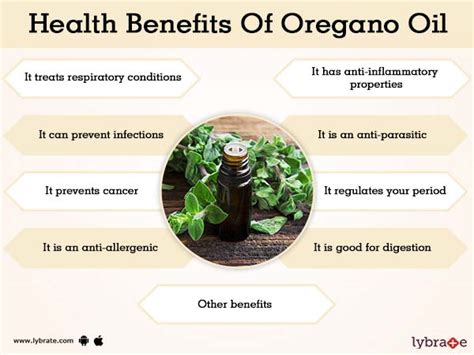 What Are The Health Benefits Of Oregano Oil