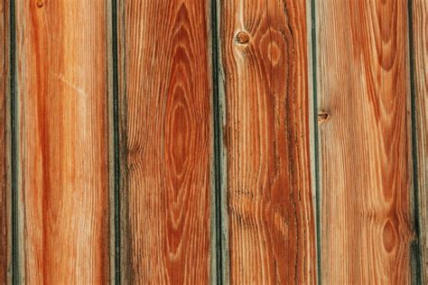 Types Of Cedar Wood Characteristics Uses The Woodwork Zone