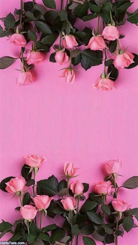 See more ideas about aesthetic wallpapers, wallpaper, aesthetic. مجموعه جدید والپیپر گوشی با عکس گل + متن قشنگ