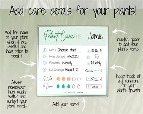 Plant Care Tags Printable Plant Care Instructions Card Etsy Uk