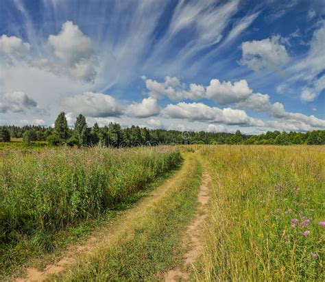 Partly Cloudy On A Summer Day In A Meadow Stock Image Image Of