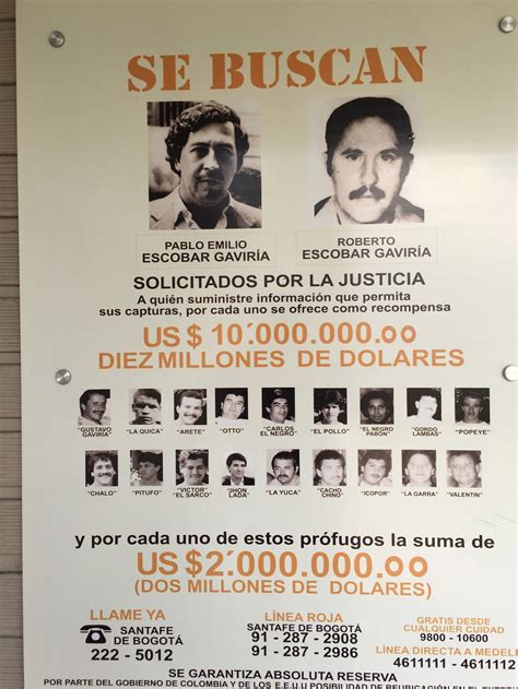 Medellin Cartel Structure