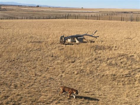 The Wild Animal Sanctuary – Keenesburg, CO