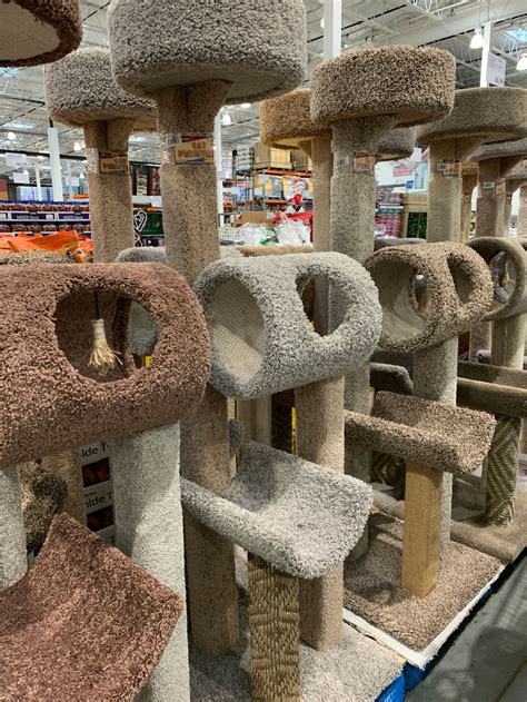 All categories grocery & household. Costco Cat Products - Meowtain Climbers