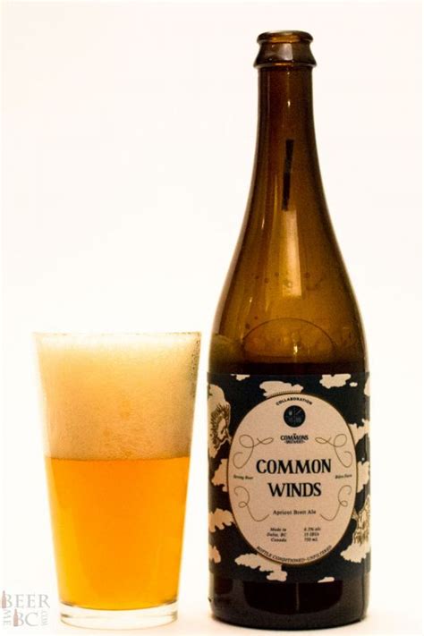 Four Winds Brewing Common Winds Apricot Brett Ale Beer Me British