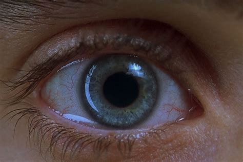 The Extreme Close Ups Of Darren Aronofsky Uncrate