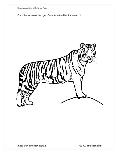 Tiger Coloring Page Worksheet For 3rd 4th Grade Lesson Planet