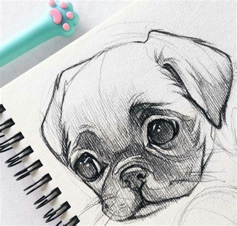 Easy Pencil Drawings Pencil Sketch Drawing Dog Drawing Sketch Art