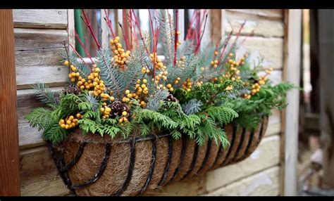 Pin By Christine G On Fall Container Gardens Plant Combinations Fall