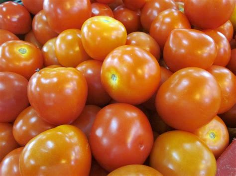 Pretty Simply Normal Tomatoes Vegetable Or Fruit