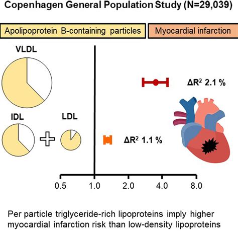 Per Particle Triglyceride Rich Lipoproteins Imply Higher Myocardial Infarction Risk Than Low