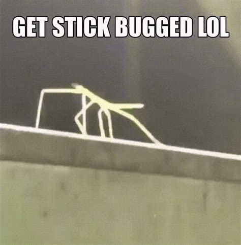 Get Stick Bugged Lol By Medictf2simp On Deviantart