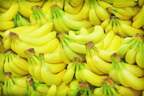 Latam Banana Industry Holds First Meeting With Rainforest Alliance Ceo