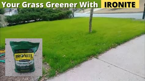 How To Make You Grass Greener Using Ironite Step By Step Youtube