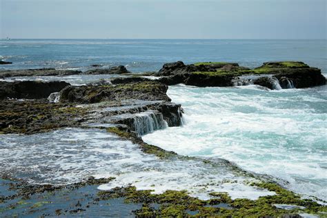 San Pedro Tide Pools Rafael Gonzalez Flickr