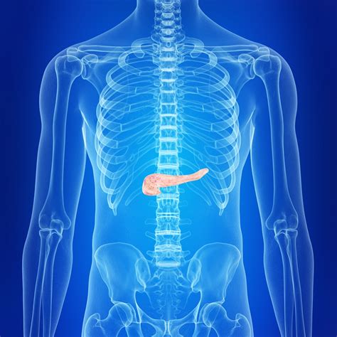 Pancreatitis Pain Causes And Treatments Alternative Drmcare