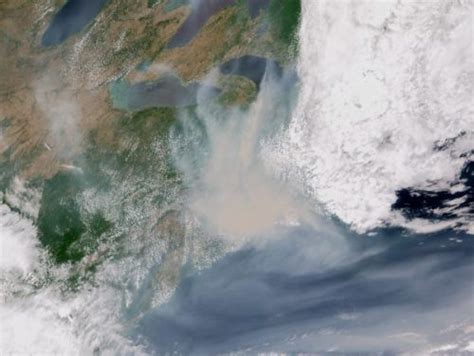 Nceoa Team Of Uk Scientists Have Been Monitoring The Devastating Smoke