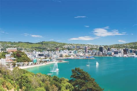5 Reasons to Visit Wellington, New Zealand | AIFS Study Abroad