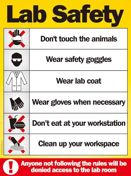 Lab Safety Safety Poster Shop