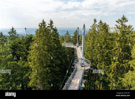 Scheidegg Bavaria Germany 26 June 2020 View Of The Tree Top Path