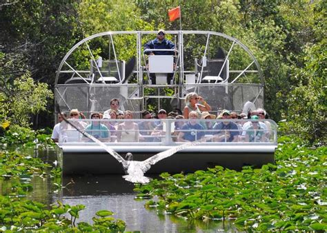Everglades Safari Park Airboat Tour Und Parkeingang Getyourguide