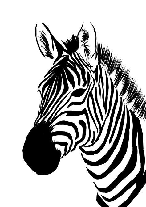 Next, draw a circle to the right of the head, with curving lines connecting the head and rear. zebra cross contour | Animal stencil, Zebra art, Zebra face
