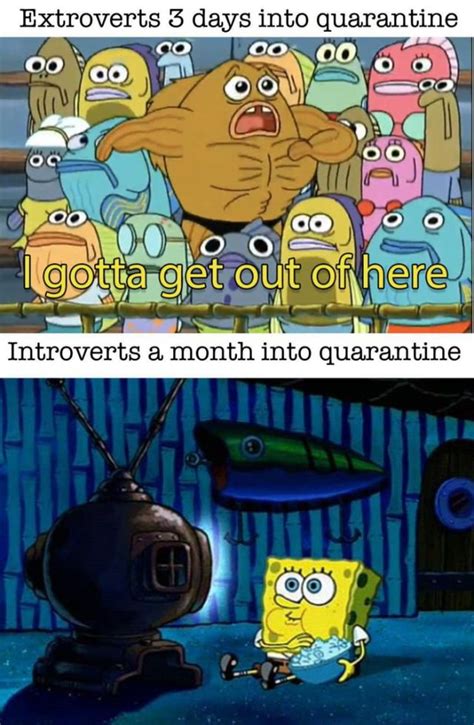 Spongebob Ok Get In Meme