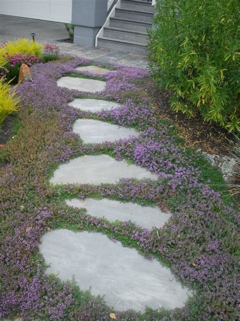 Plants And Ground Covers For Your Paths And Walkways Top Dreamer