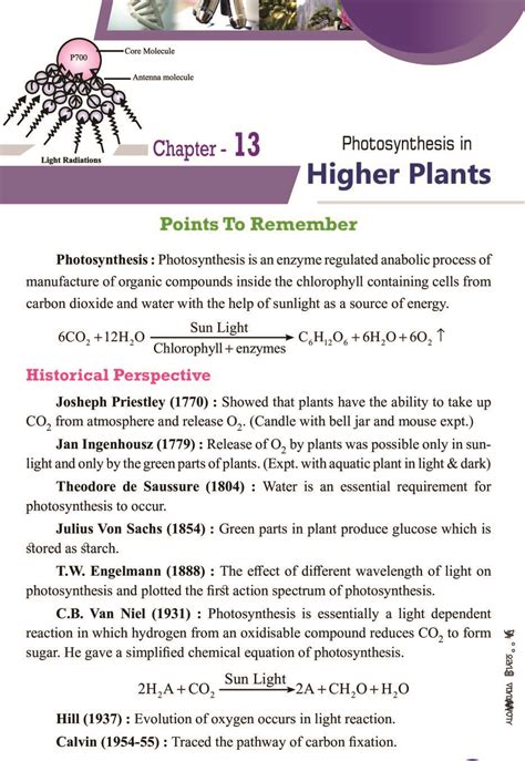 Photosynthesis In Higher Plants Class Notes Pdf