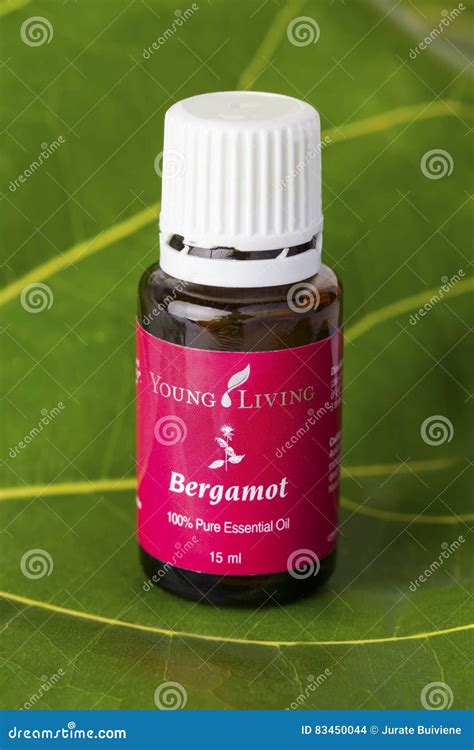 Aceite Esencial De La Bergamota Imagen De Archivo Editorial Imagen De