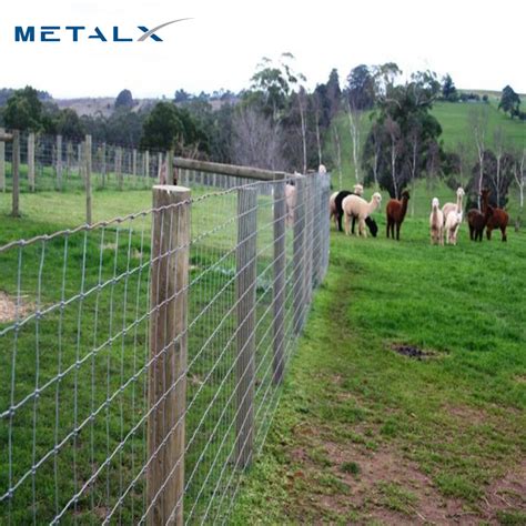 Galvanized Iron Grassland Fencing Farm Fence Mesh Grassland Field