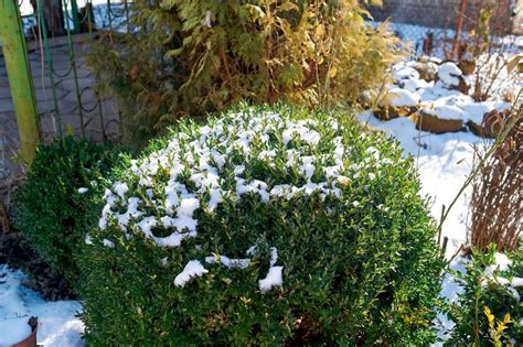 Winter Landscaping Ideas Make Your Property Look Great In The Winter Ald