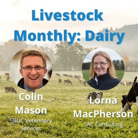 Dairy Animal Health And Welfare Helping Farmers In Scotland Farm