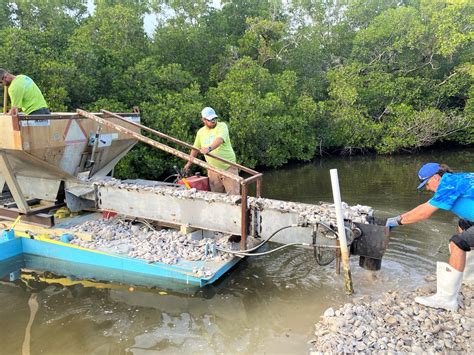 Restoring Naples Bay Artificial Oyster Reefs Provide Ecosystem Benefits