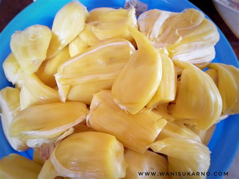 Di mana kulitnya berduri kecil berwarna hijau dan bagian dagingnya berwarna kuning terang. TIPS UNTUK BUAH CEMPEDAK DAN NANGKA KEKAL SEGAR DAN TAHAN LAMA