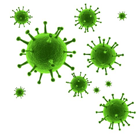 Virus Transparent Png All Png All